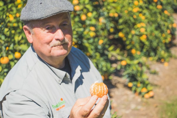 Farmer Joe Franklin thinks citrus is the next big thing for Georgia's agriculture. 