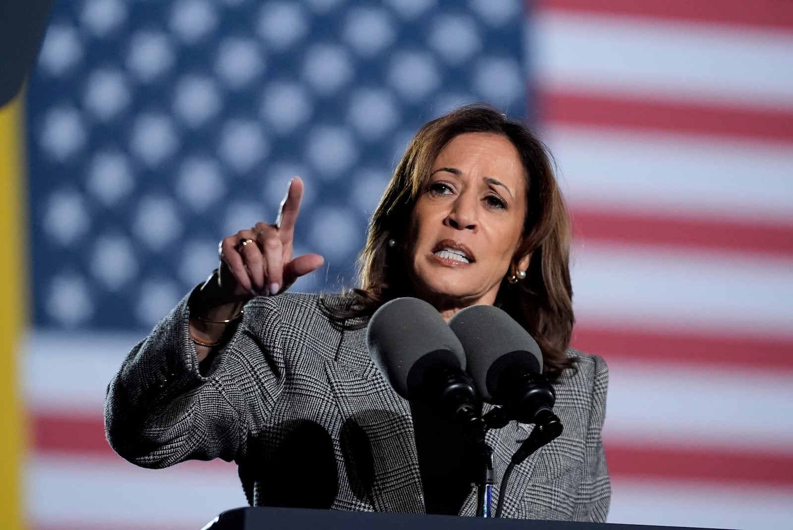 Democratic presidential nominee Vice President Kamala Harris speaks at a campaign event in Burns Park on Monday, Oct. 28, 2024, in Ann Arbor, Mich. (Paul Sancya/AP)