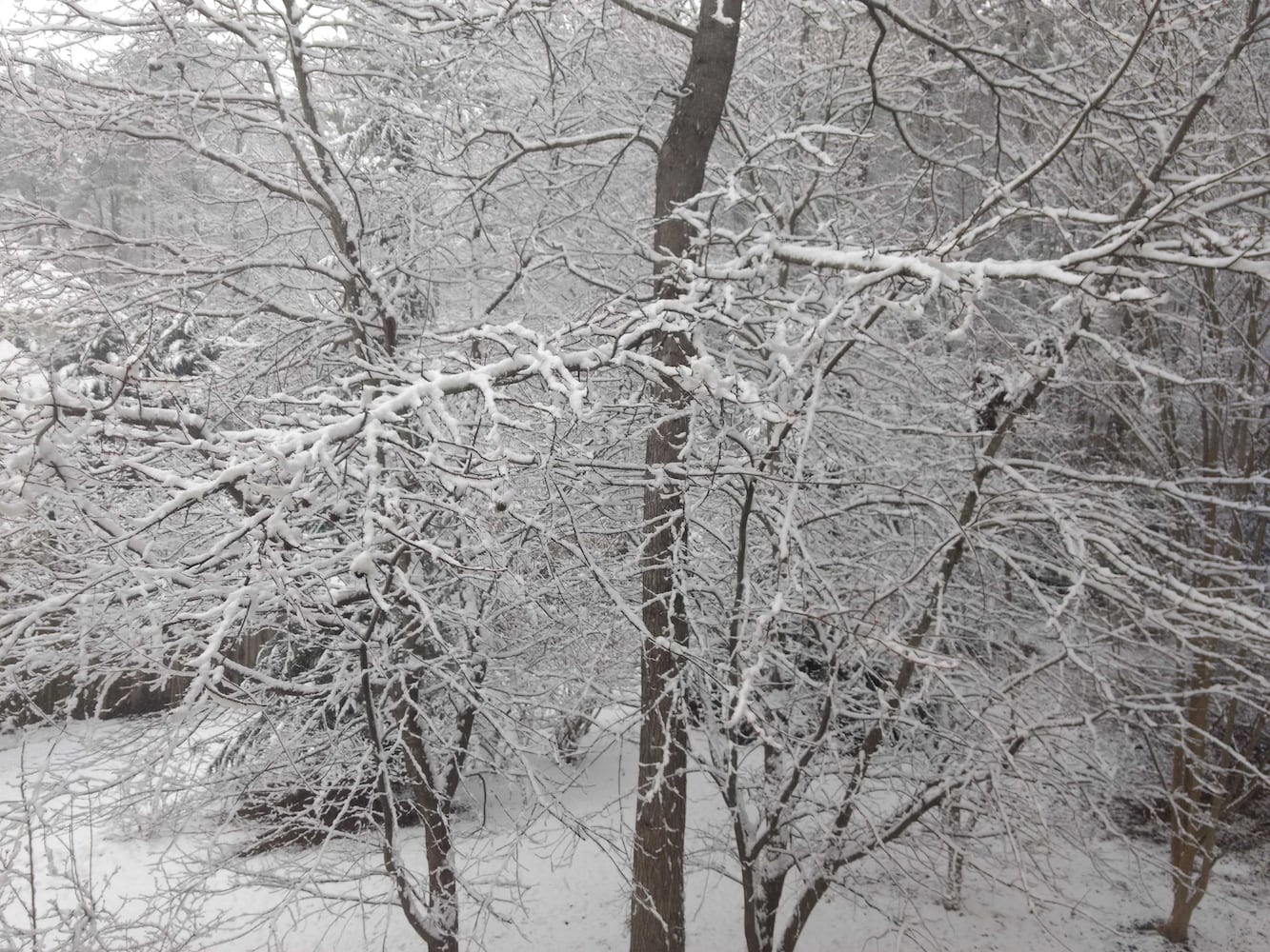 PHOTOS: Snow scenes in metro Atlanta, North Georgia