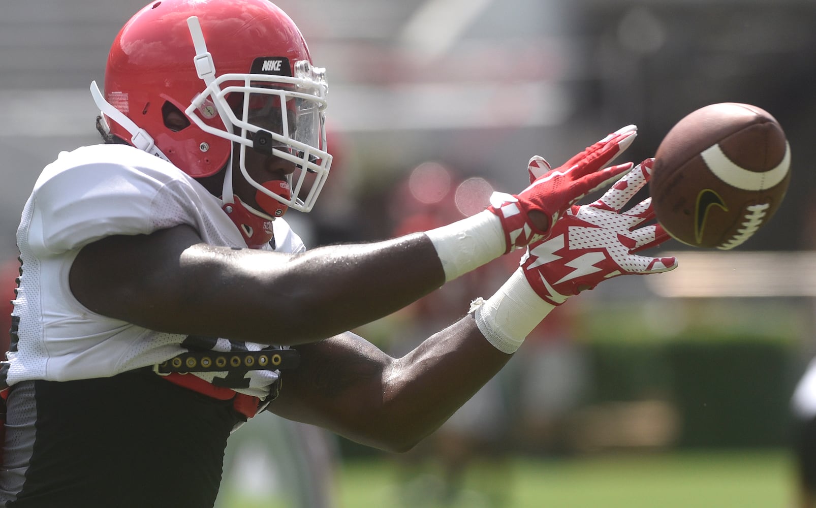 Photos: Bulldogs working hard even on Fan Day