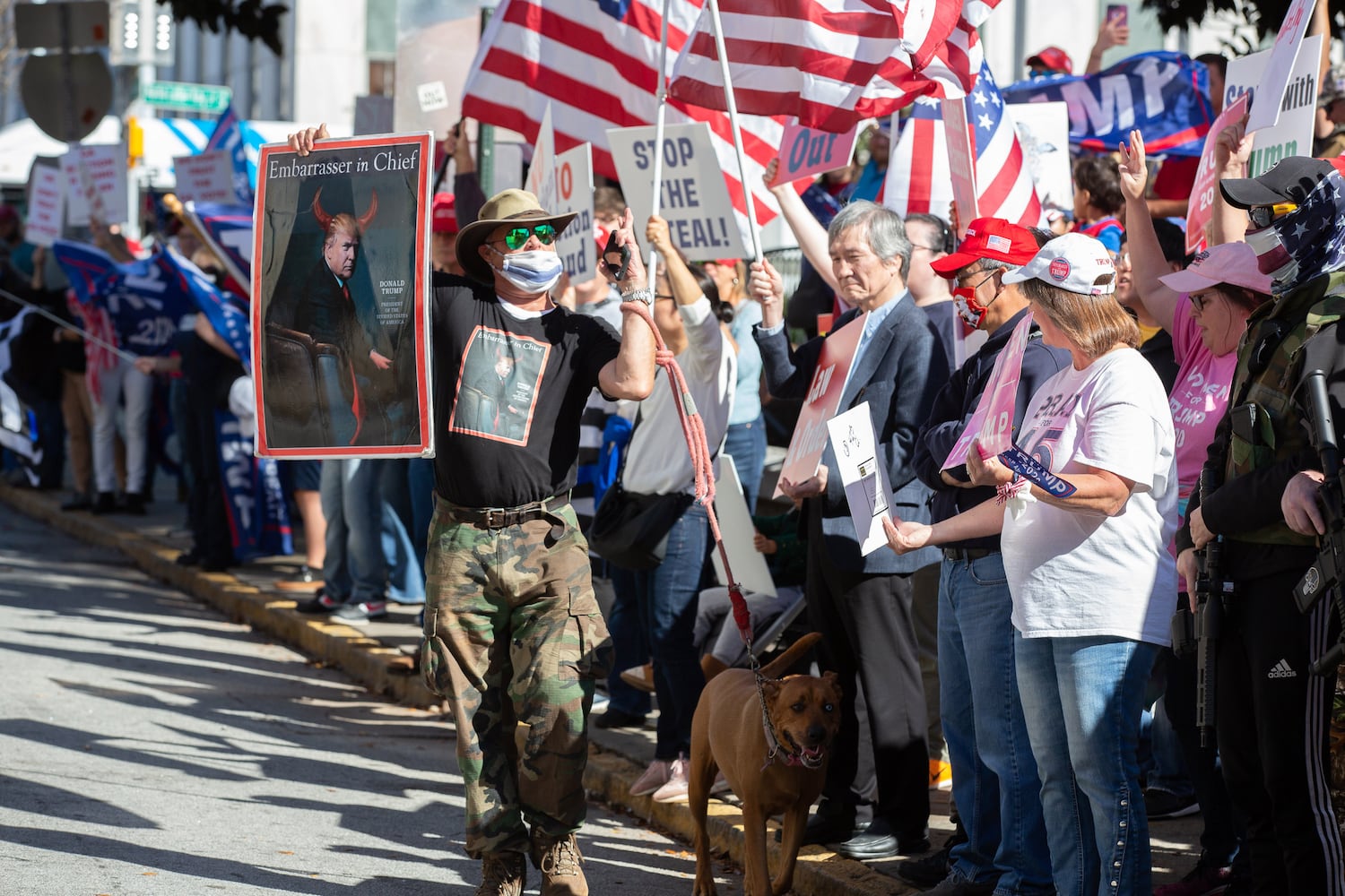 Demonstrate against the election being stolen from President Trump