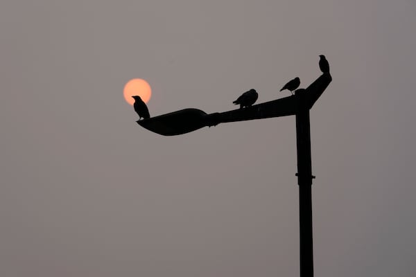 Sun is seen through a thick layer of smog as air pollution shoots up in New Delhi, India, Monday, Nov. 18, 2024. (AP Photo/Manish Swarup)