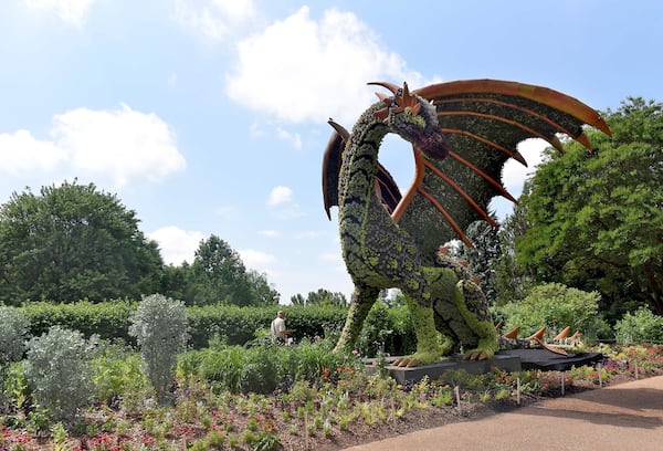 The dragon sculpture, returning from last summer, is one of the oversized sculptures created of metal frames and living plants. RYON HORNE / RHORNE@AJC.COM