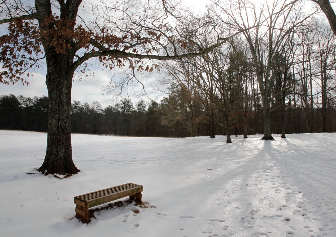 Baby, it's cold in Georgia