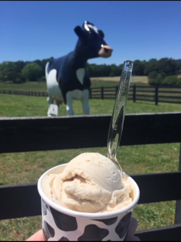 Mountain Fresh Creamery sells ice cream by the pint, quart and half gallon, as well by the scoop and in milkshakes. Courtesy of Jen Glover