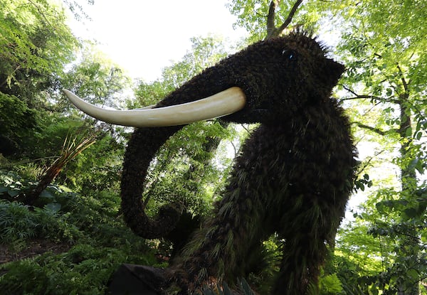 The Mammoth sculpture in the Anne Cox Chambers Southern Seasons Garden is one of the delicate works of art in Imaginary Worlds at Atlanta Botanical Garden on Monday, April 30, 2018, in Atlanta.     Curtis Compton/ccompton@ajc.com