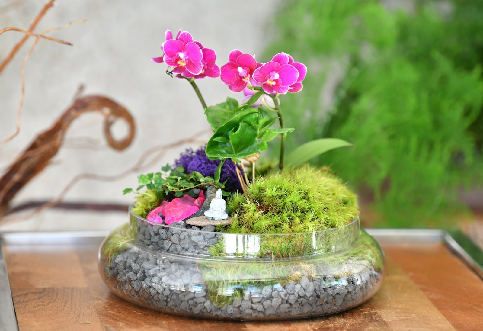 Cloche Terrarium designed by Terry Furuta, owner and florist, at Terry Furuta Floral Designs in Buckhead on Saturday, May 2, 2020. (Hyosub Shin / Hyosub.Shin@ajc.com)