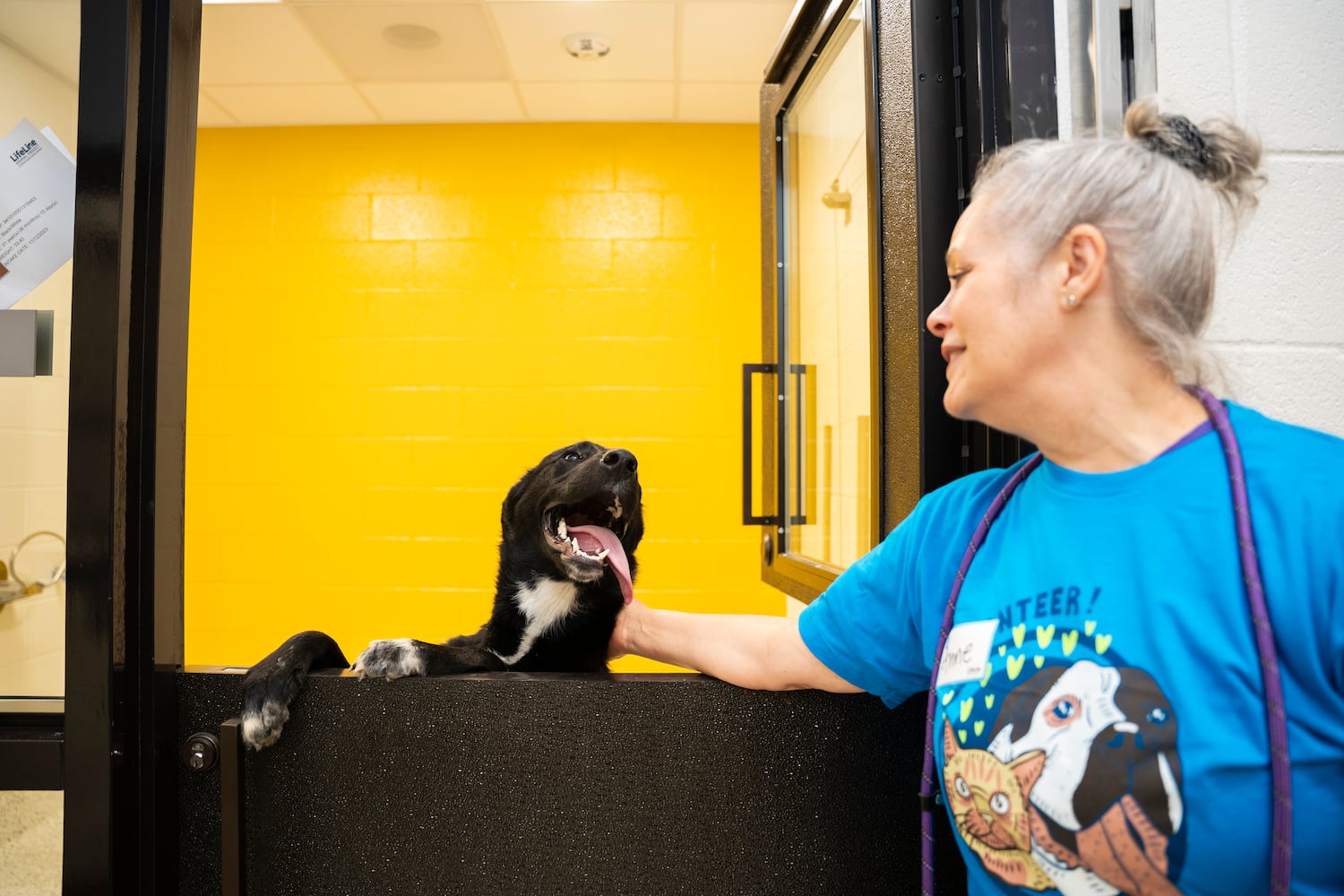 New Fulton County Animal Shelter Opens 