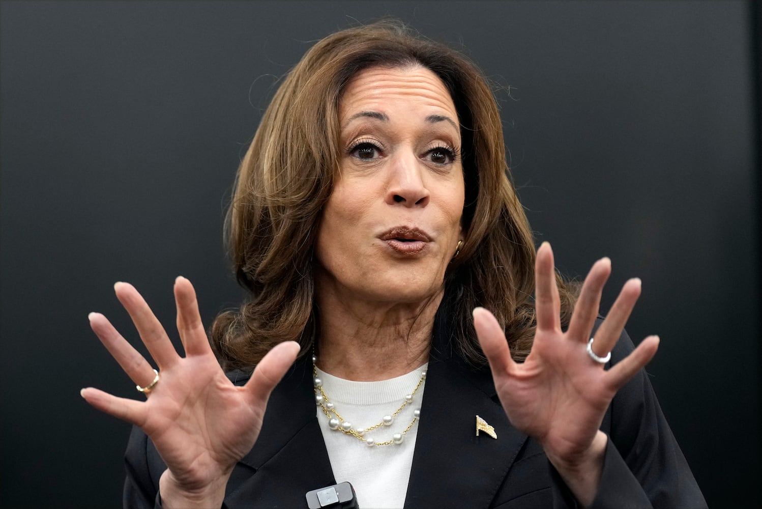 Election 2024 Harris