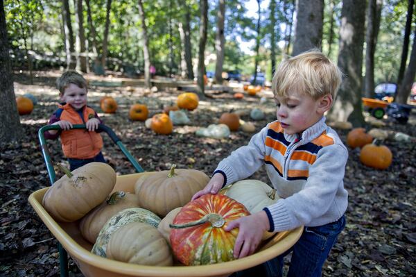 Scottsdale Farms has a ton of pumpkins to choose from for home decor inspiration. JONATHAN PHILLIPS / SPECIAL