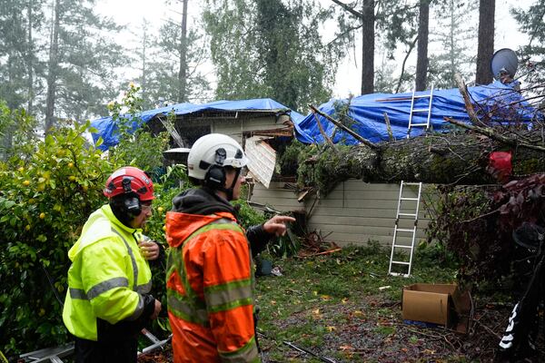 Emergency crews assess the damage from a downed tree on a property, Thursday, Nov. 21, 2024, in Forestville, Calif. (AP Photo/Godofredo A. Vásquez)