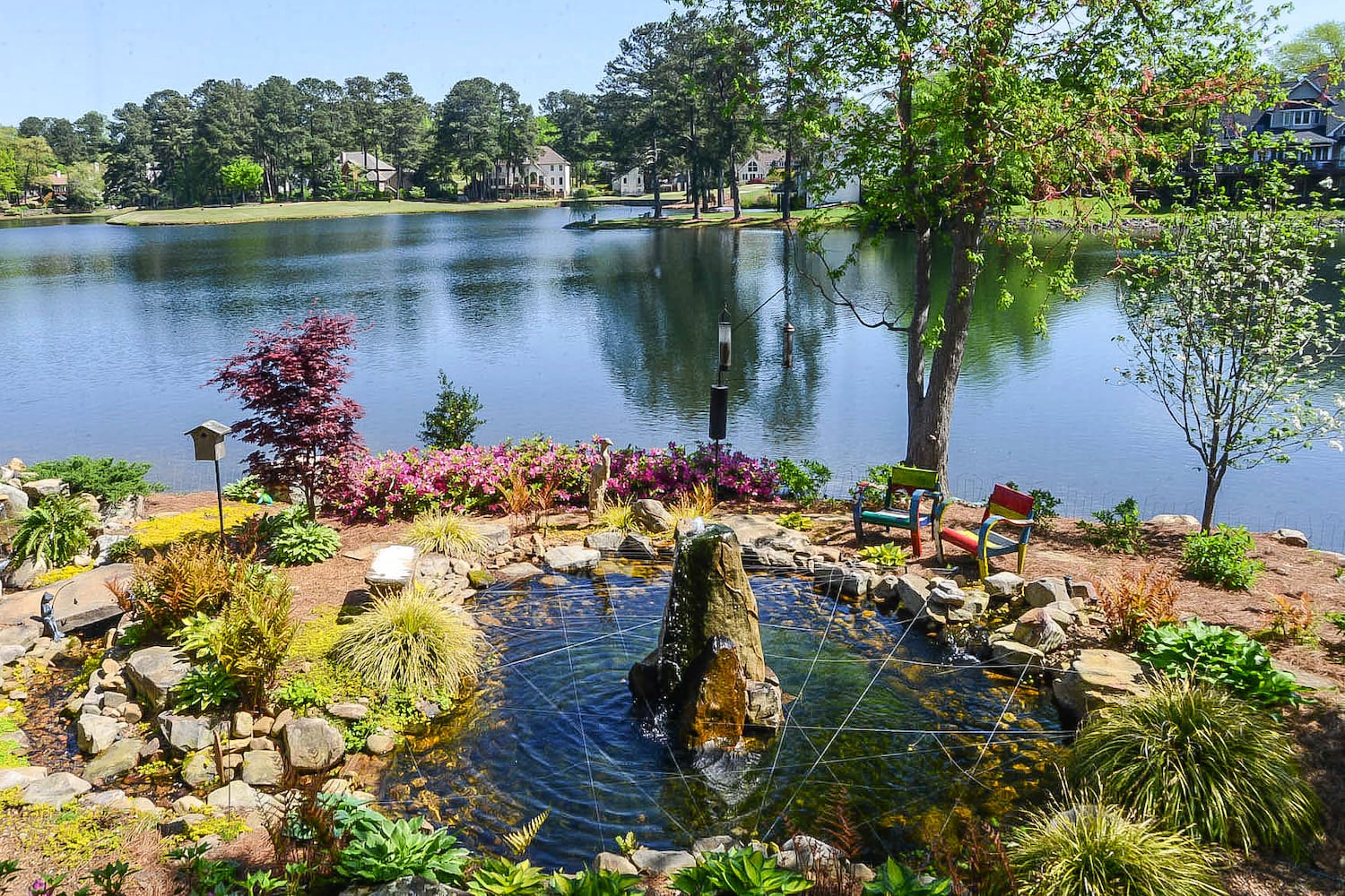 Lakefront Roswell home serves as backdrop for bird habitat