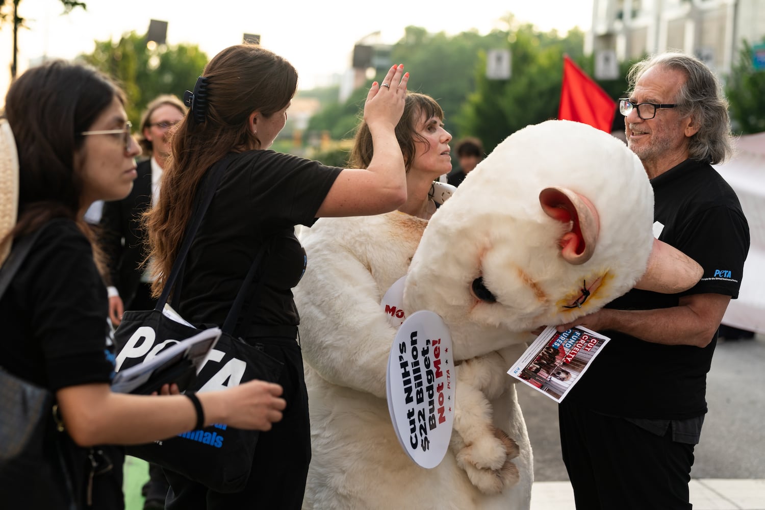 Julie Robertson of Atlanta cools off while wearing a mouse costume for a PETA protest against animal testing near the intersection of 10th Street NW and Spring Street NW in Atlanta on Thursday, June 27, 2024. Nearby, President Joe Biden and former President Donald Trump participated in a debate hosted by CNN. (Seeger Gray / AJC)