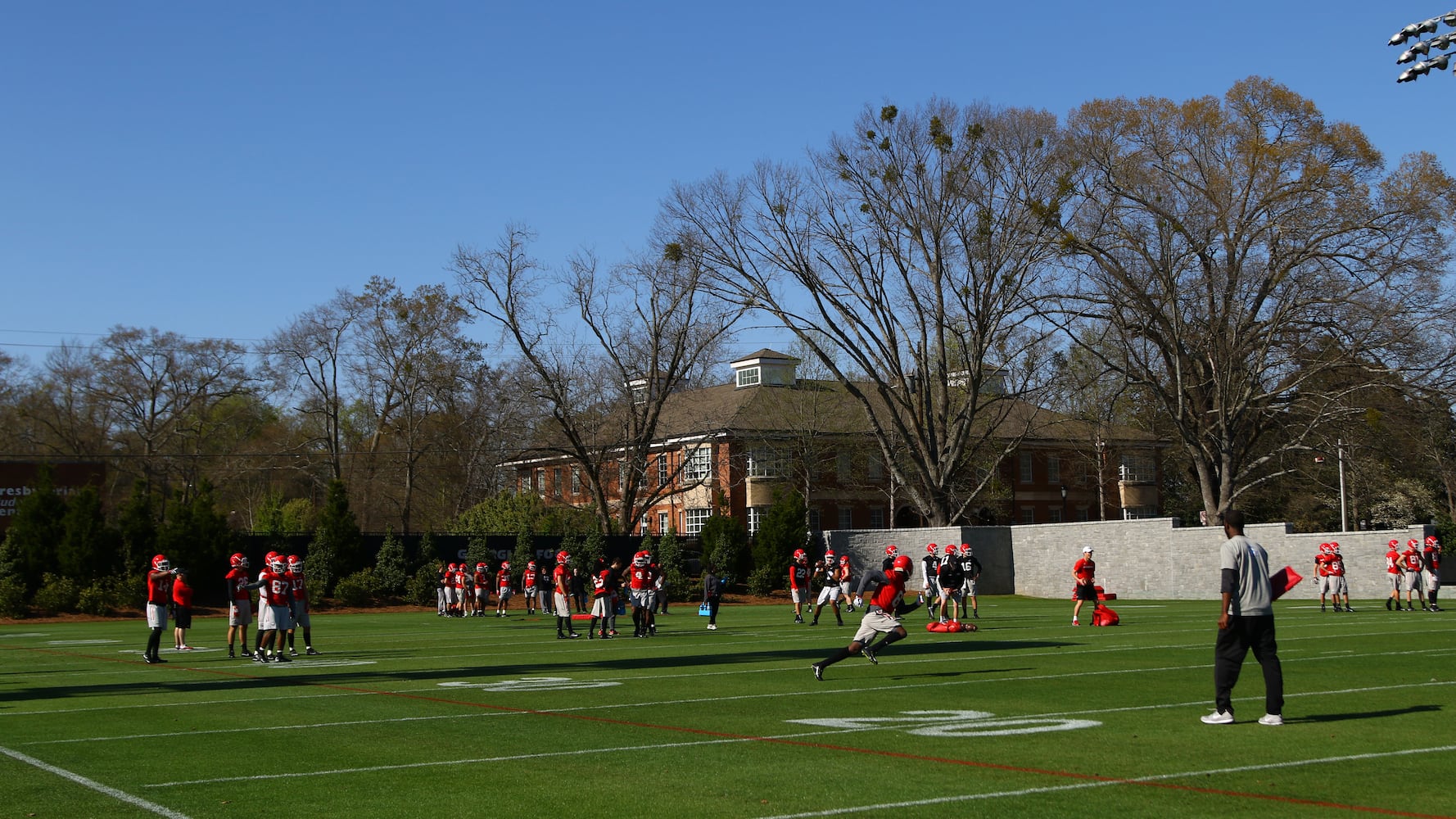 Georgia Bulldogs