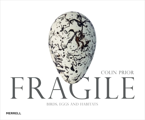 "Fragile: Birds, Eggs and Habitats’" by Colin Prior. (Courtesy of Merrell)