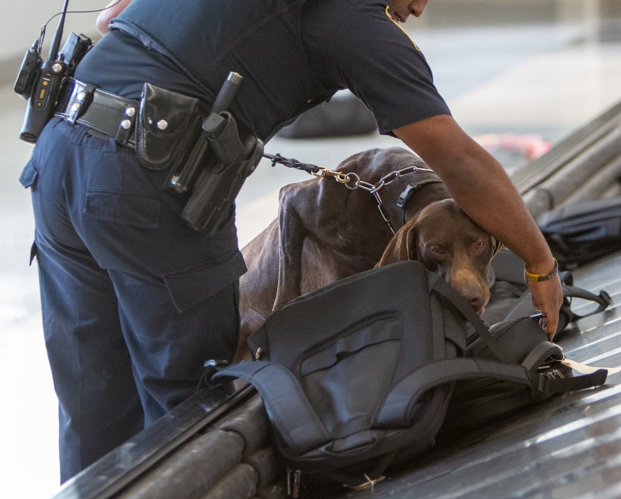 Motor Carrier Officer Swain, from the Georgia Department of Public Safety, points to a bag for his K-9, Ozon, to sniff in the E-Concourse. The U.S. Customs and Border Protection Office of Field Operations Port of Atlanta hosted a two-day K-9 training conference at Hartsfield-Jackson Atlanta International Airport (ATL). K-9 detection dogs from the U.S. Customs and Border Protection, Georgia Department of Correction, Georgia State Patrol, Union City, Newnan, Bowden Police and Clayton County Police participated in training exercises. PHIL SKINNER FOR THE ATLANTA JOURNAL-CONSTITUTION.