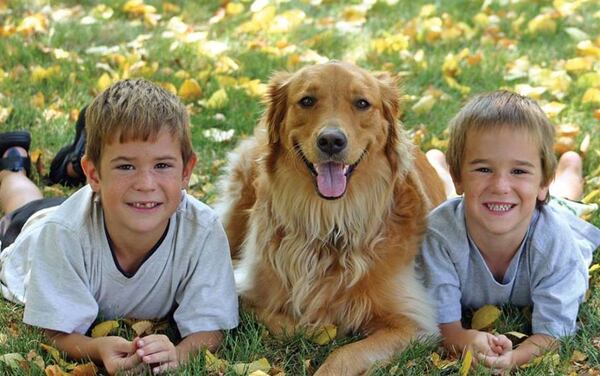 Kids will get a behind-the-scenes view of shelter operations and animal care at PAWS Atlanta's summer camp.