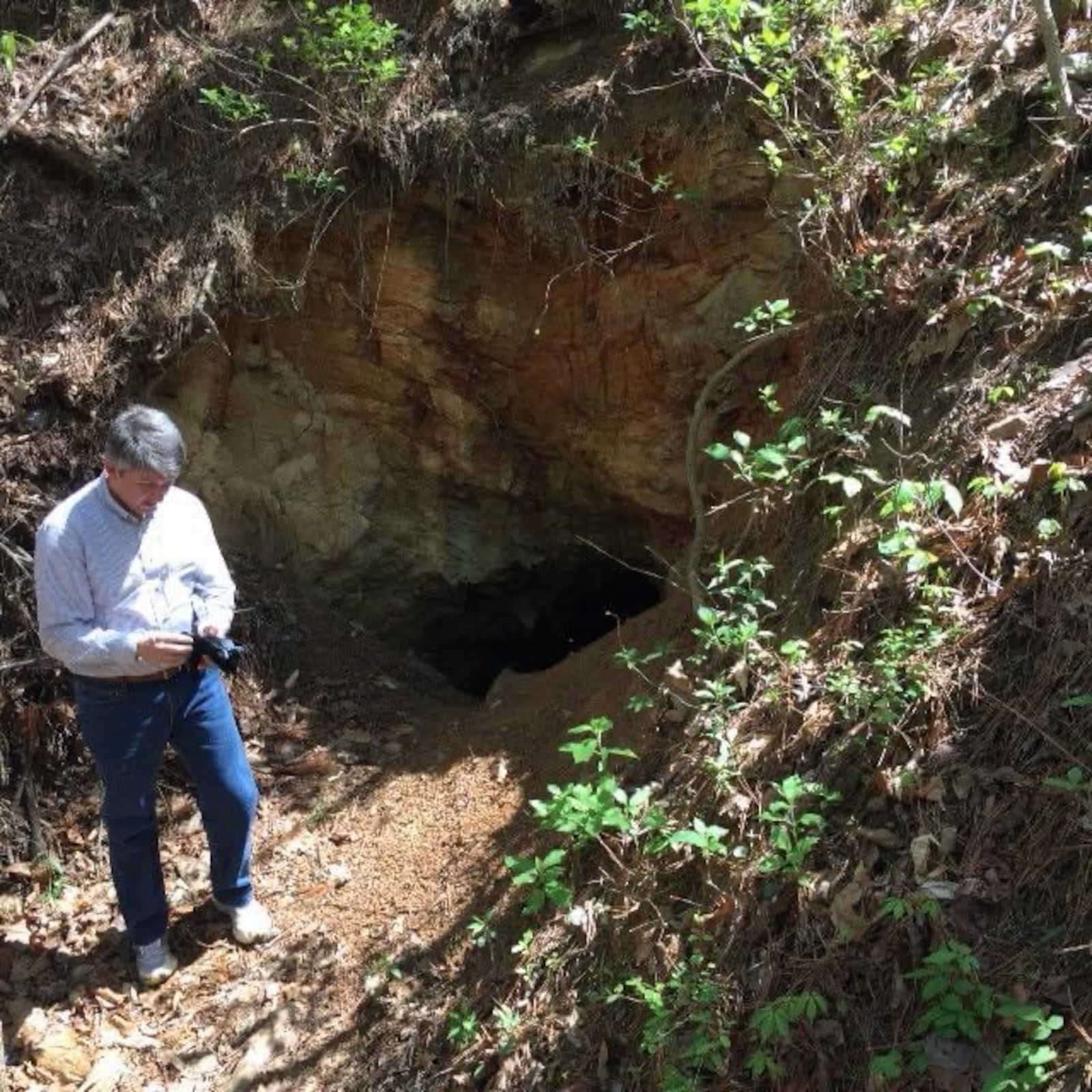 The entrance to the gold mine at the future location of Gold Mine Park on Level Creek Road. (Courtesy of Brandon Hembree)