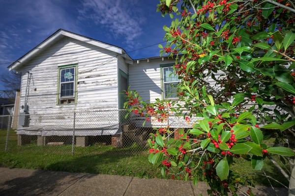 A tree planted by SOUL (Sustaining Our Urban Landscape), is visible at right in the Algiers neighborhood on the west bank of the Mississippi River in New Orleans, Thursday, Feb. 27, 2025. (AP Photo/Matthew Hinton)