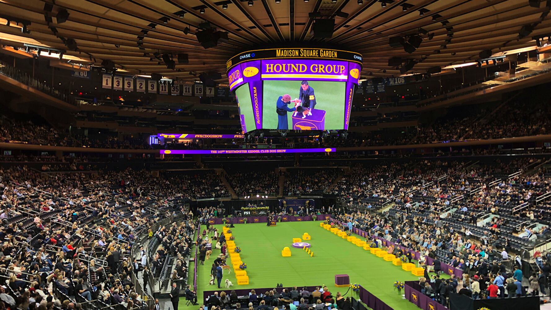 2019 Westminster Dog Show