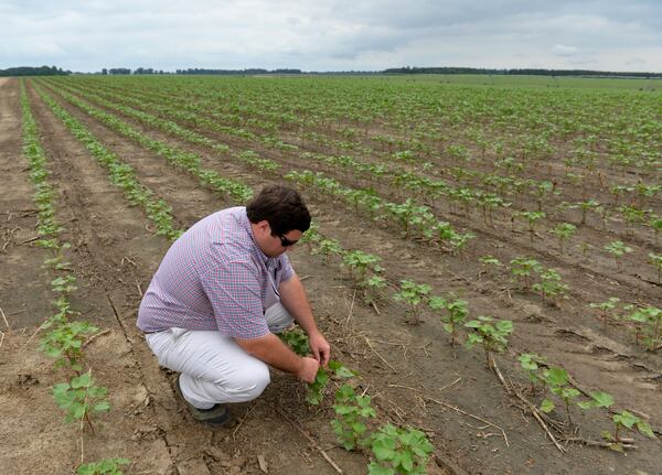 Matt Coley at his family farm in Vienna, Ga. BRANT SANDERLIN/BSANDERLIN@AJC.COM