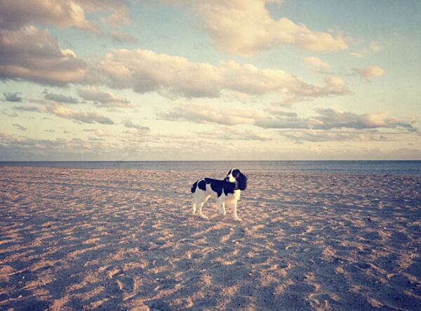 Bald Head Island, North Carolina