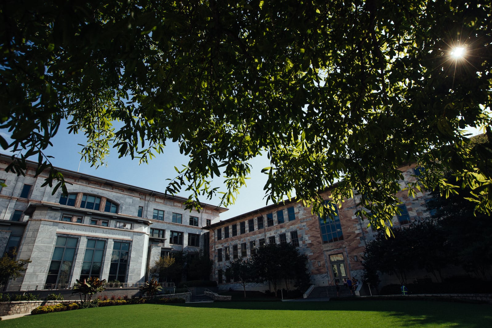 Emory University School of Medicine. 
Stephen Nowland/Emory University