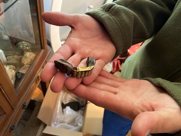 Dental historians believe these false teeth were made sometime in the 1800s and were fashioned from ivory and gold. They are among the strange objects Jeremy Sides has discovered diving in creeks and rivers. Photo: Bo Emerson