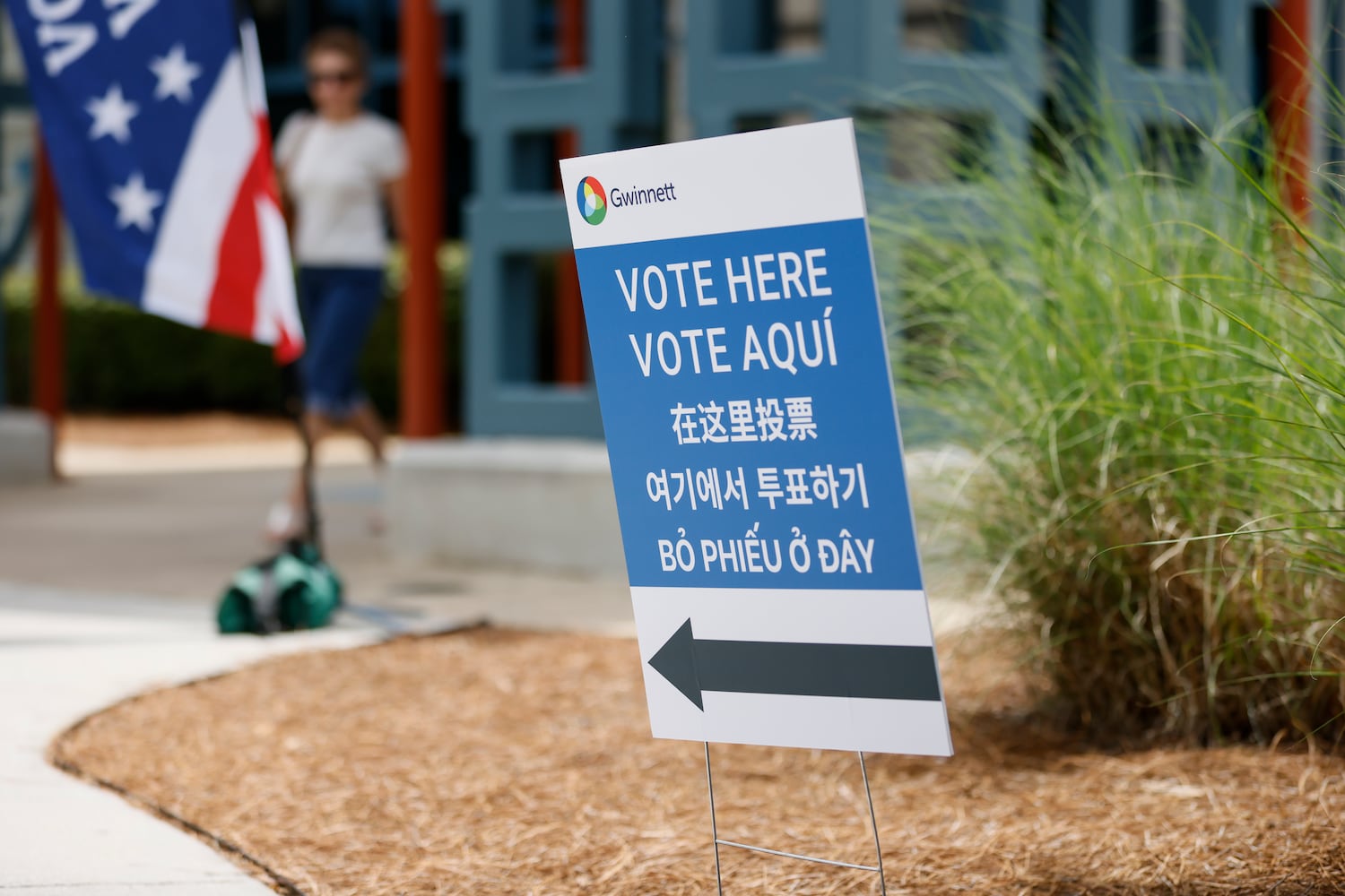 Gwinnett Voting Day