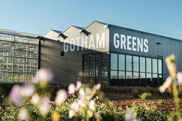 This is one of Gotham Greens' greenhouses in California.