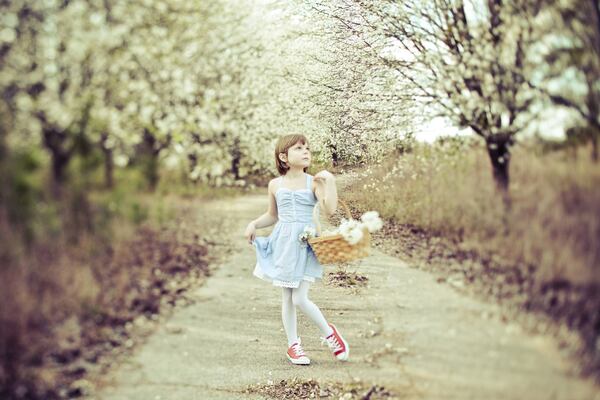 In her first cosplay portrait, Alice Lewis dressed as Dorothy from “The Wizard of Oz.” Contributed by Kelly Lewis / Kelly Is Nice Photography