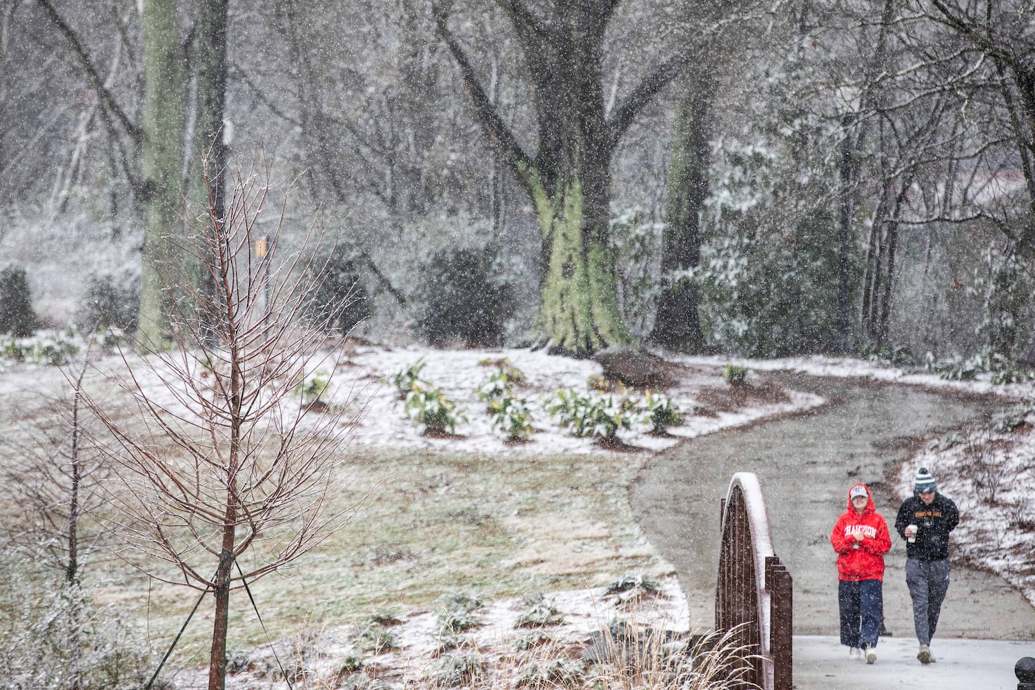 Winter Weather in Georgia