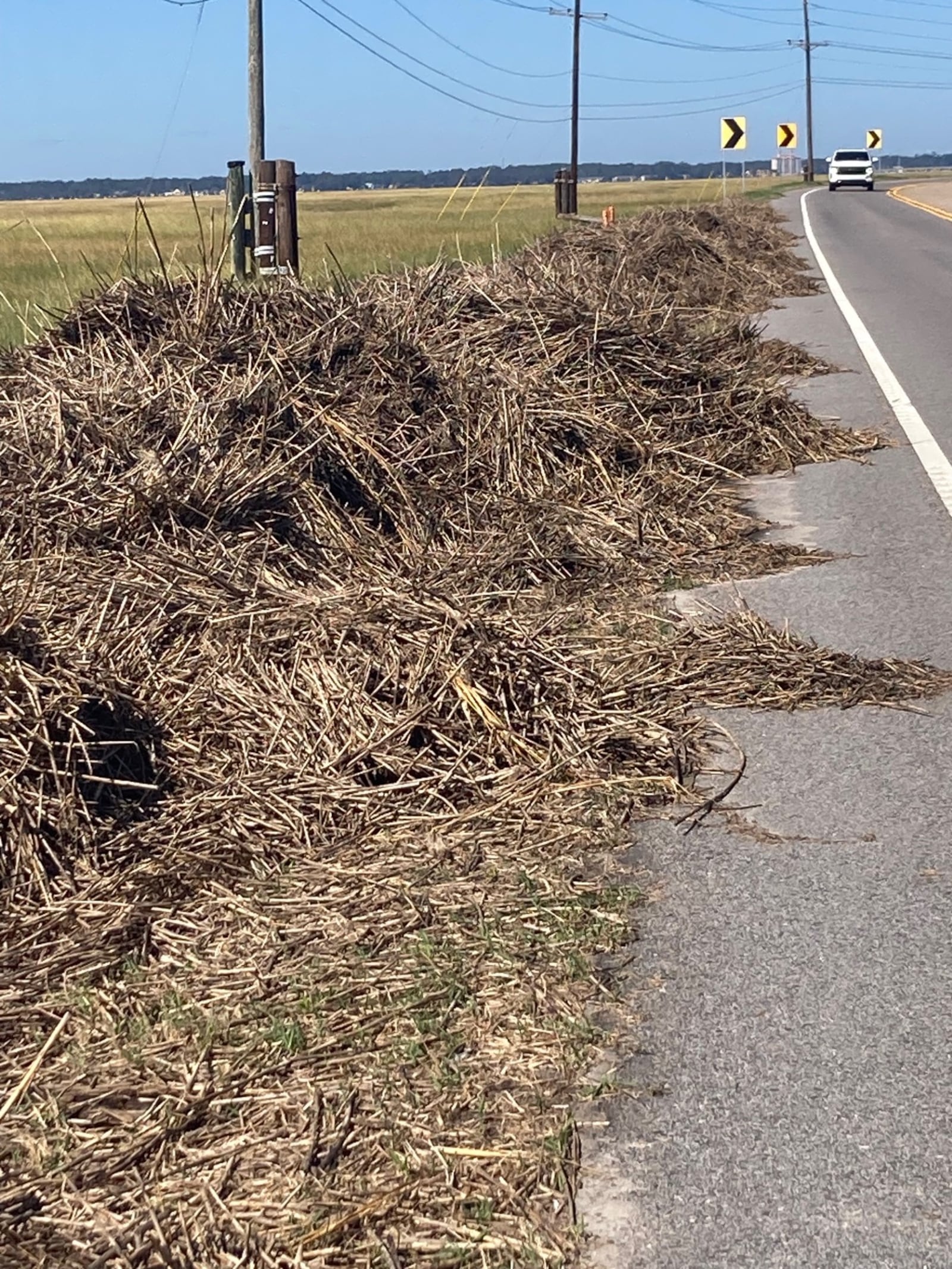 Marsh debris washed up on the U.S. 80 causeway by Hurricane Helene still lines the roadway. Public works crews from Tybee Island worked this week to remove piles from the lowest spots in anticipation of flooding from Hurricane Milton. The storm ultimately did not swamp the roadway. (Adam Van Brimmer/AJC)