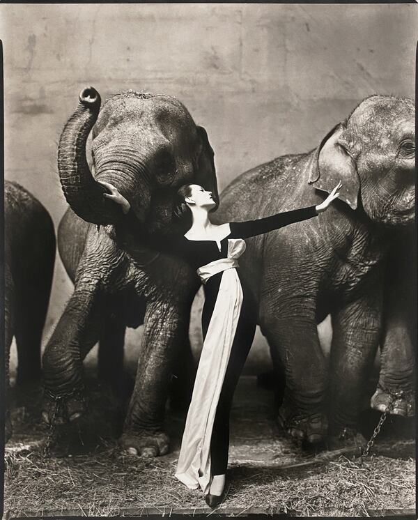 Richard Avedon's "Dovima with elephants, Evening dress by Dior, Cirque d'Hiver, Paris, August, 1955."