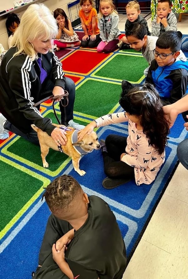 Volunteer Diane Carr takes 21-year-old Chihuahua, Busta Rhymes, to Oakwood Elementary School to meet the children. Busta loves this work. It gives him a sense of purpose. Courtesy of Penny Miller