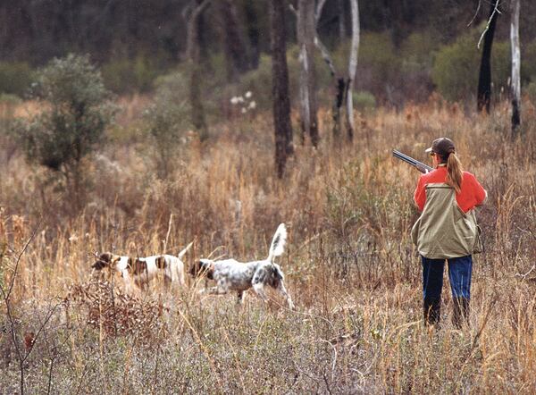 Wynfield Plantation is located on 2,000 acres of prime quail hunting habitat outside of Albany in southwest Georgia.
Courtesy of Albany Convention and Visitors Bureau