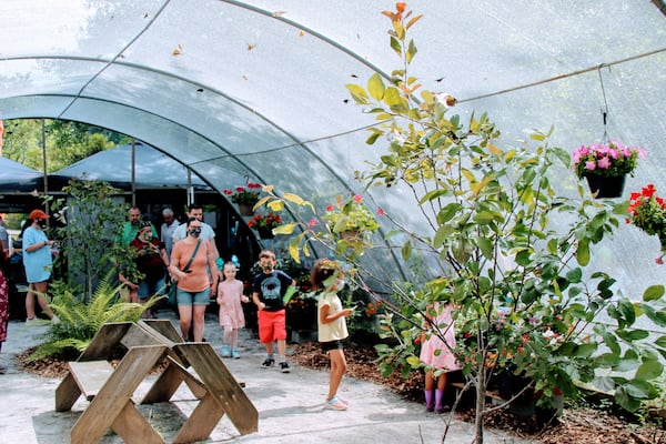 Butterflies greet visitors at the Chattahoochee Nature Center's Butterfly Encounter. 
Courtesy of the Chattahoochee Nature Center.