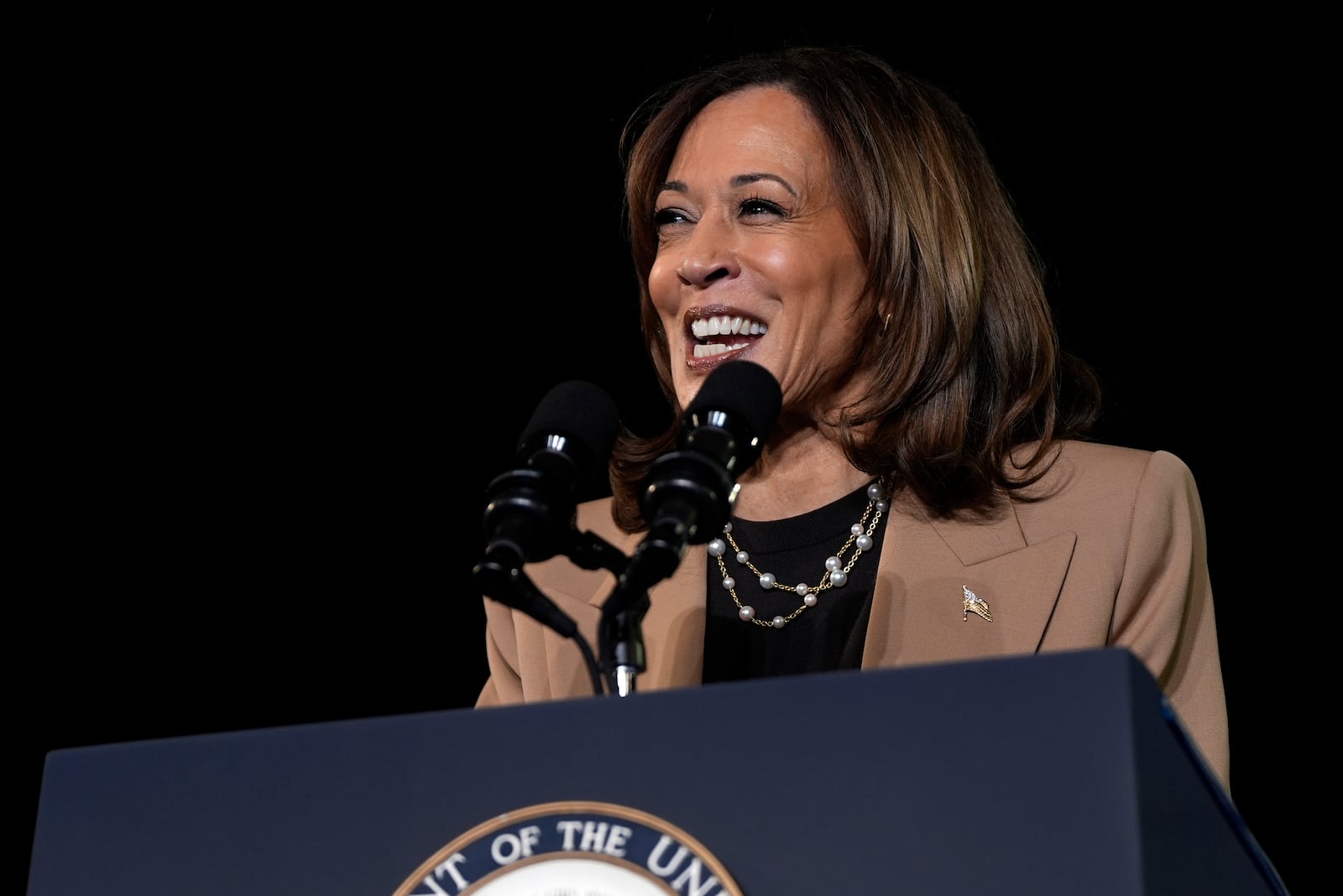 Democratic presidential nominee Vice President Kamala Harris speaks at a campaign rally at James R. Hallford Stadium, Thursday, Oct. 24, 2024, in Clarkston, Ga. (AP Photo/Julia Demaree Nikhinson)