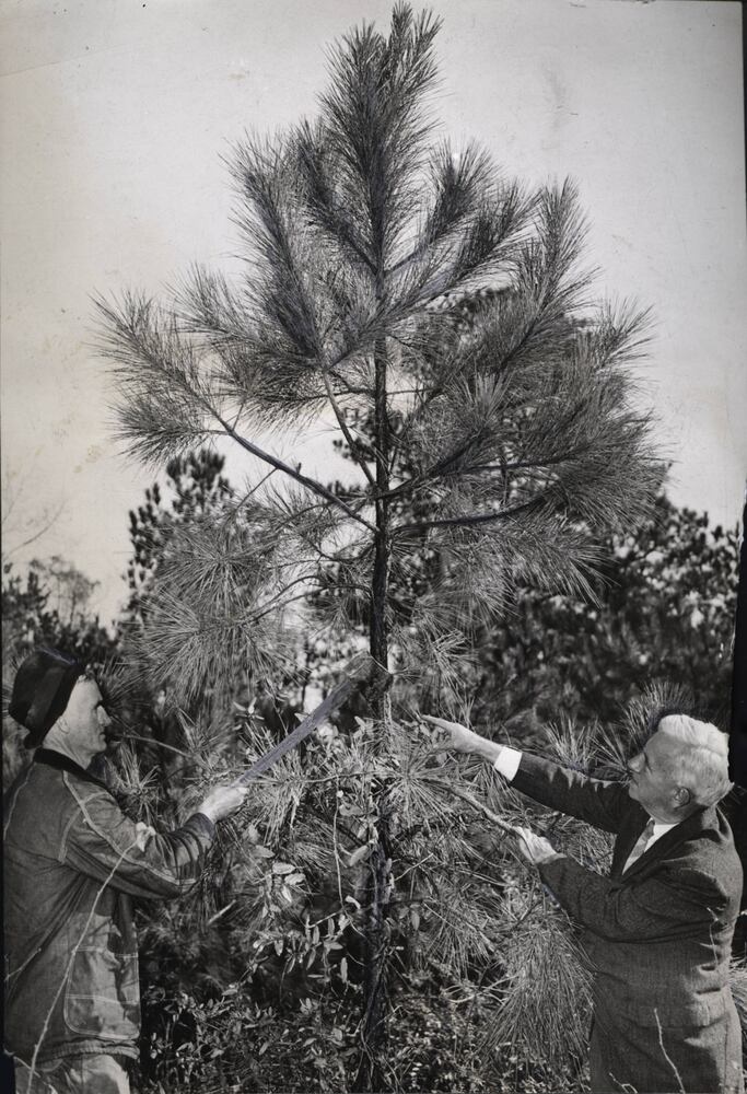 Flashback Photos: Christmas in Atlanta, 1920-1980