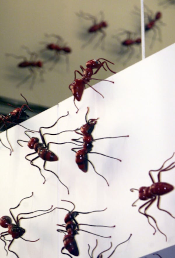 010830-ATLANTA, GA: Preview story on art in public places. This one is Hartsfield airport featuring giant ant on the walls of the baggage claims, a bronze portal on the South parking garage entrance &amp; 20 African sculptures between the T &amp; A concourses. (PHIL SKINNER /staff).