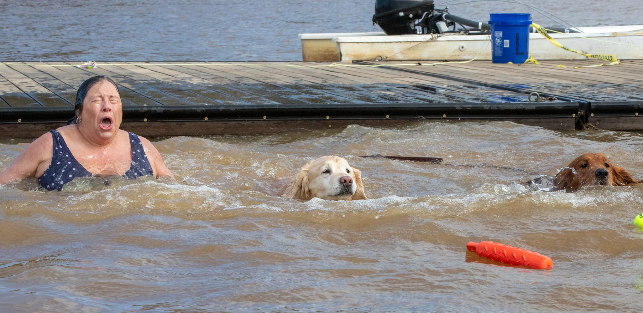 polar bear plunge and paddle 