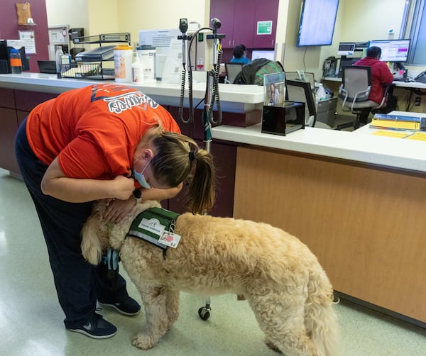 Nurse Melissa Bailey cuddles with Tidings at Children's Healthcare of Atlanta Egleston in Decatur. 
PHIL SKINNER FOR THE ATLANTA JOURNAL-CONSTITUTION