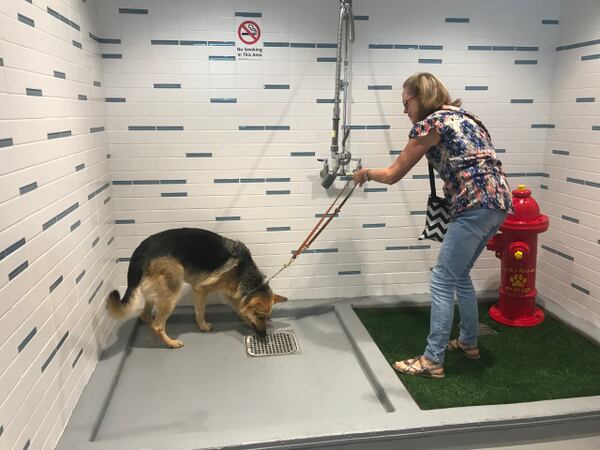 Hartsfield-Jackson International Airport now has rest room facilities for dogs and other service animals. Staff photo