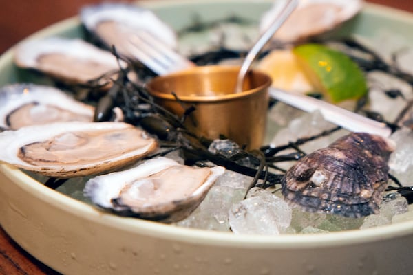 Farmed Georgia oysters are typically served raw on the half shell and are sold at several Savannah-area restaurants, including Fleeting at the Thompson hotel. (Adriana Iris Boatwright/For the AJC)