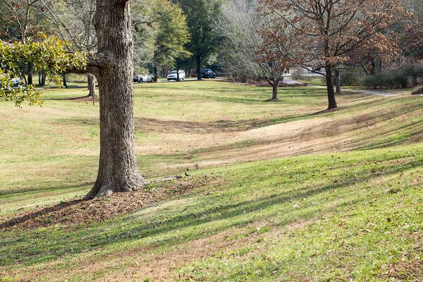 The Olmsted Linear Park system was designed with intentional vistas including here in Springdale Park to disguise roadways and lead visitors along the parkway.  The lmsted Linear Alliance, with help from Jennie Richardson, a historian and long-time resident, maintains the restoration and preservation of the series of linear parks designed by Frederick Law Olmstead between Ponce de Leon and South Ponce de Leon from Moreland to the 22 acre Deepdene Park.  (Jenni Girtman / Atlanta Event Photography)