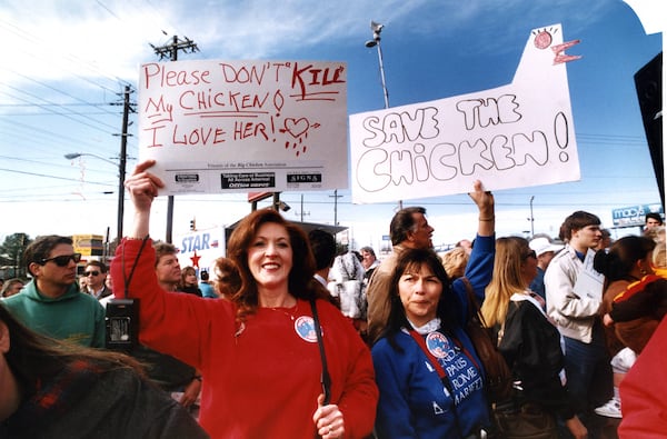 Demonstrators Patty Grate Clark and Karen Tucker rallying to save the Atlanta landmark the Big Chicken, damaged in a storm earlier in this month, Marietta, Ga., January 26, 1993. KFC will announce whether it will rebuild the Big Chicken, which was damaged earlier in the month.