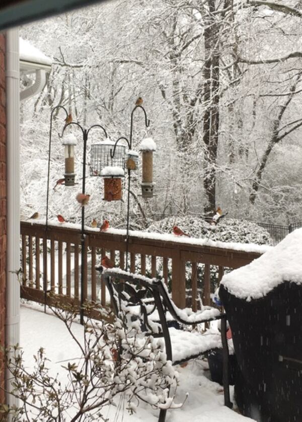 "This is a gathering of hungry birds on our deck with the Winter Wonderland in the garden," wrote Betty Bruce of Suwanee.