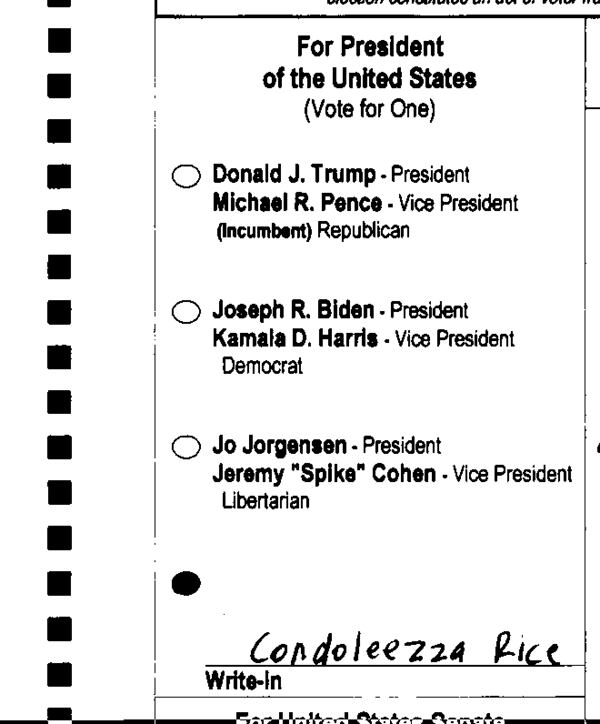 A voter wrote in Condoleezza Rice for president.