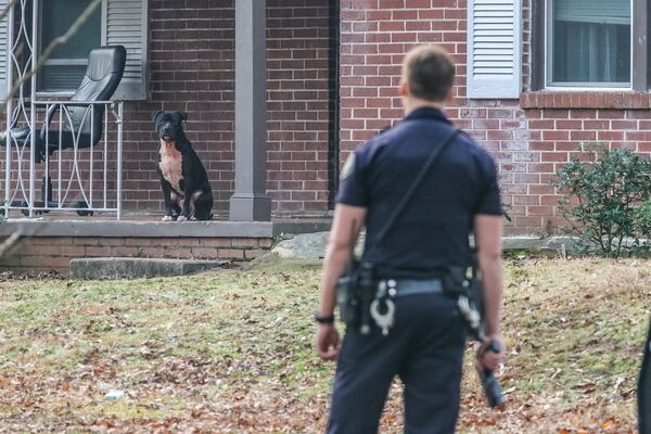 The children were attacked Tuesday in southwest Atlanta. JOHN SPINK / JSPINK@AJC.COM