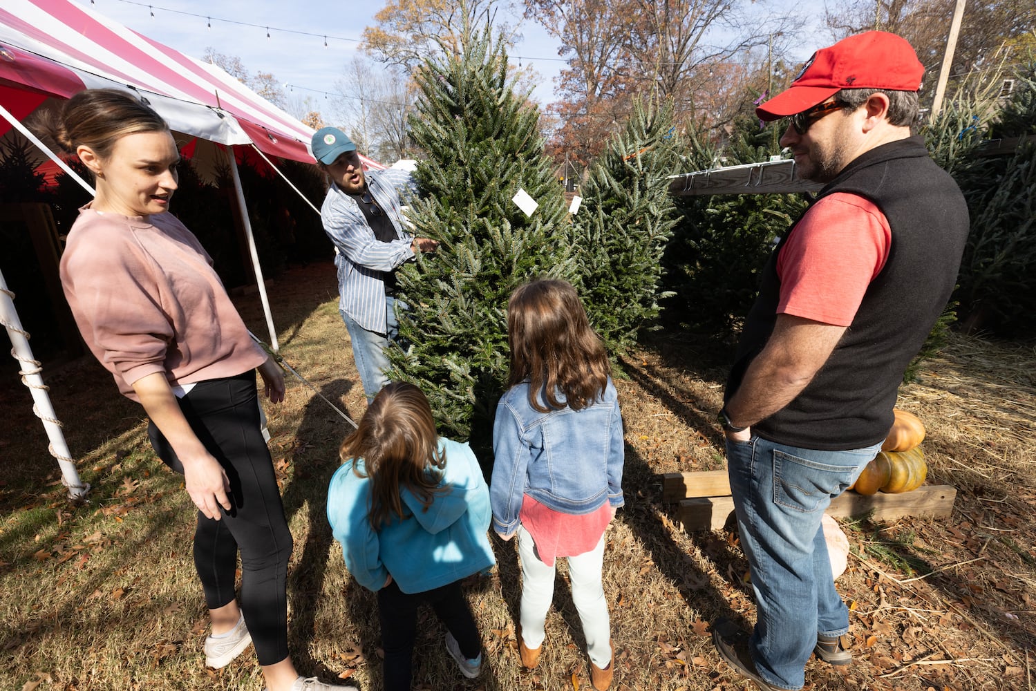 Christmas Tree Outlook